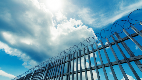 Prison Fence Shining Bright